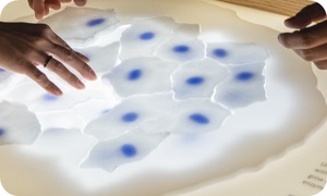 Cheek Cells puzzle