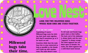 Love Nest