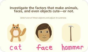 Cuteify