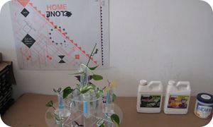 Clone Home Workshop